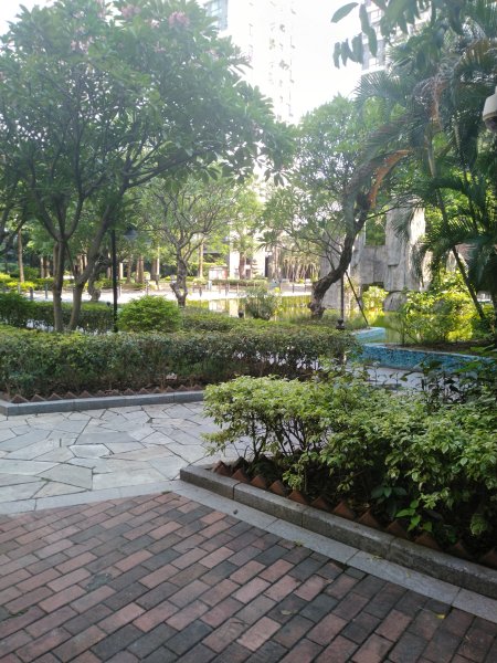 龙城国际,龙升路8号-东莞龙城国际二手房,租房,房价-东莞安居客