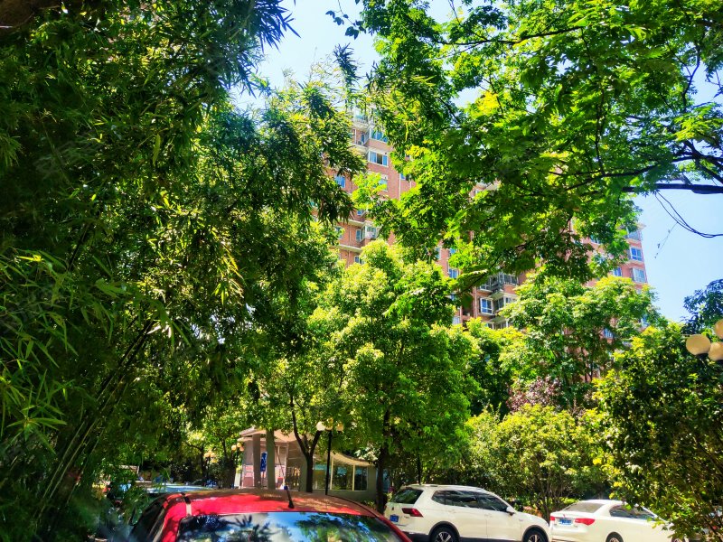 海怡花园(虹口),广灵二路264弄-上海海怡花园(虹口)二手房,租房,房价