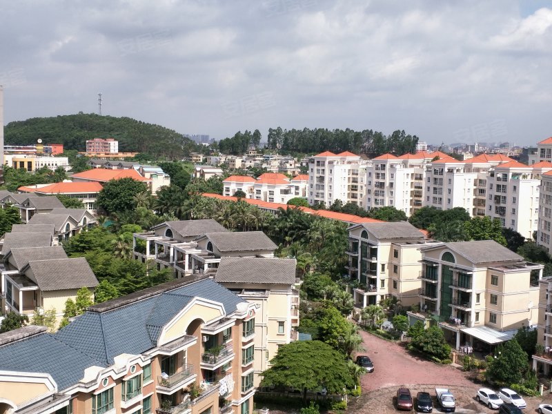 紫荆花园,常黄路-东莞紫荆花园二手房,租房,房价-东莞安居客