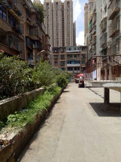 售花果园 锦绣星城旁首付18万狮峰路步梯5楼精装两室带家具