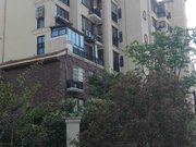 丽都洋房出售89平实用面积110平带自库满五