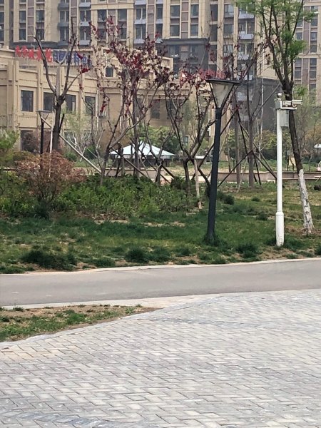 金柱大学城东苑,长江路-聊城金柱大学城东苑二手房,租房,房价-聊城