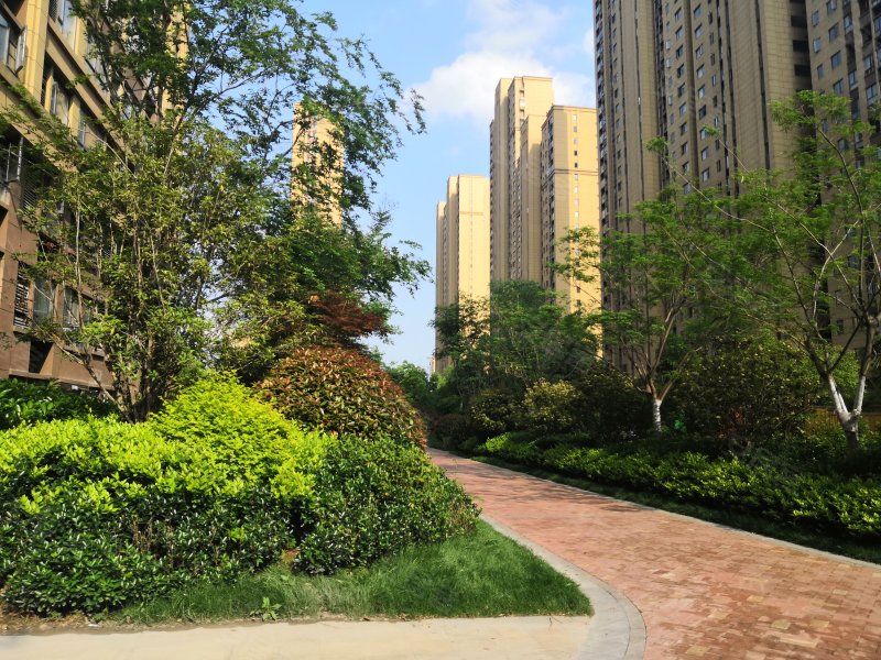 宝龙城市广场(商住楼),阜王路1000号-阜阳宝龙城市广场(商住楼)二手房
