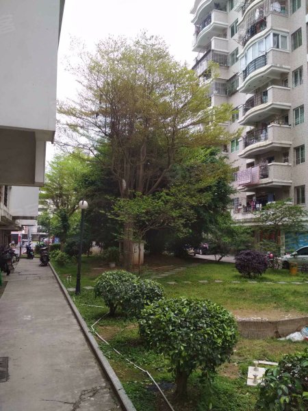 御景台花园,琴亭路66号-福州御景台花园二手房,租房,房价-福州安居客