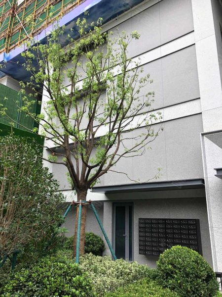 中南春溪集,九环路,近三胜街-杭州中南春溪集二手房,租房,房价-杭州
