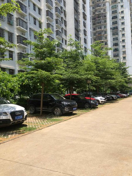 金环大厦,金鼎路-海口金环大厦二手房,租房,房价-海口安居客