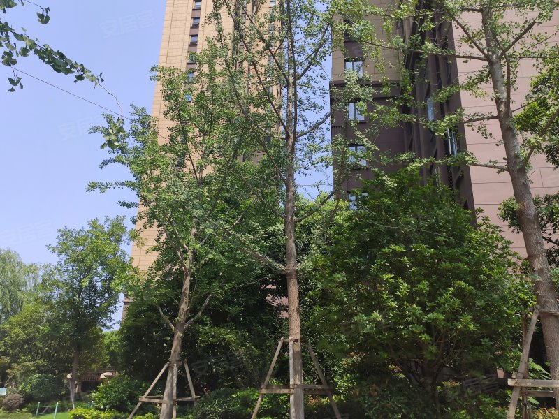 融侨观澜,春园东路2号-襄阳融侨观澜二手房,租房,房价-襄阳安居客