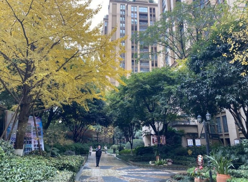 桐梓林欧城,桐梓林南路7号-成都桐梓林欧城二手房,租房,房价-成都安居