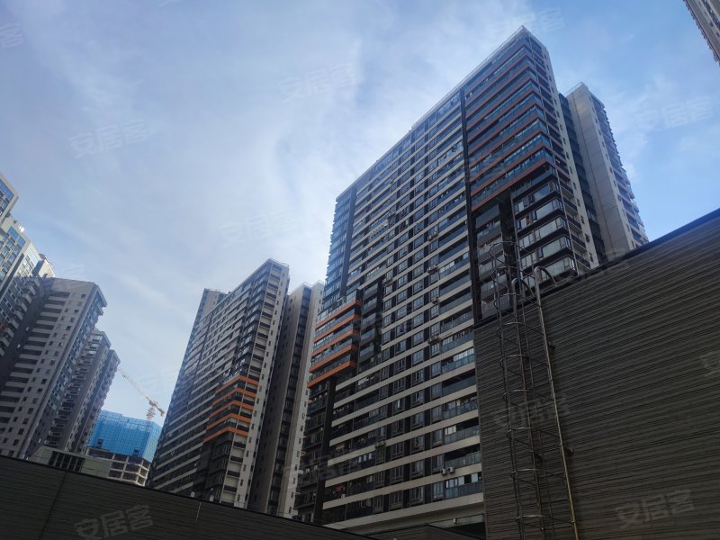 深业东岭