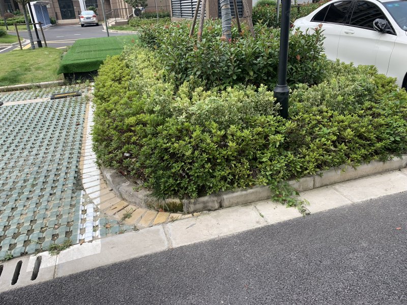 练祁佳城永泰嘉苑(615弄) 