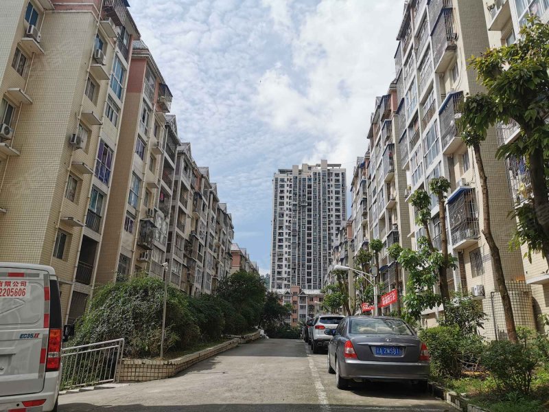 江东涪钢厂安置房小区,朋乐路188号-重庆江东涪钢厂安置房小区二手房