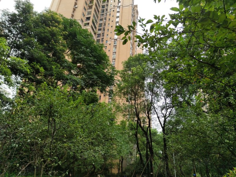 莱茵河畔,航天路4号-宜宾莱茵河畔二手房,租房,房价-宜宾安居客