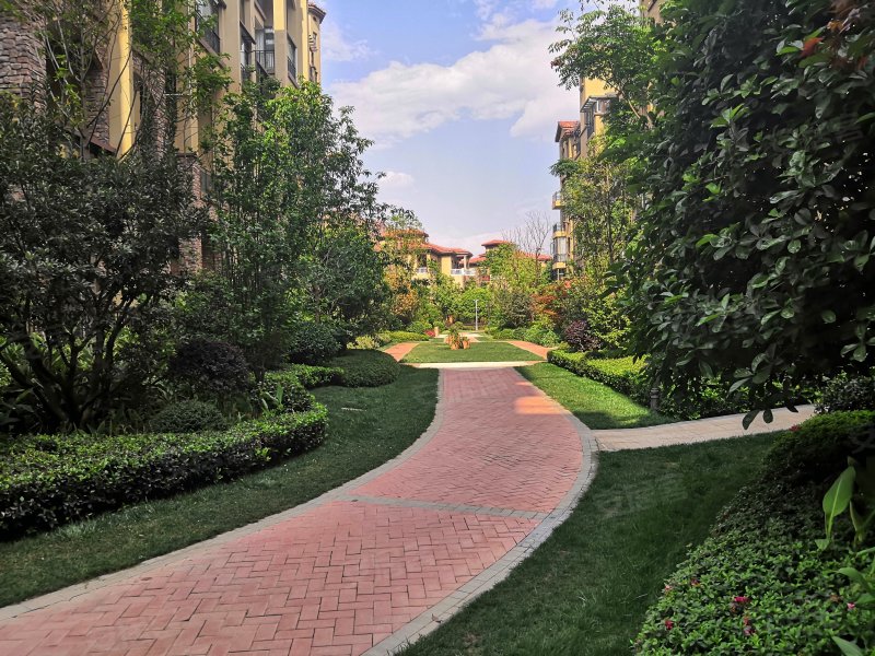 香颂美地,鹿城东路-楚雄香颂美地二手房,租房,房价-楚雄安居客