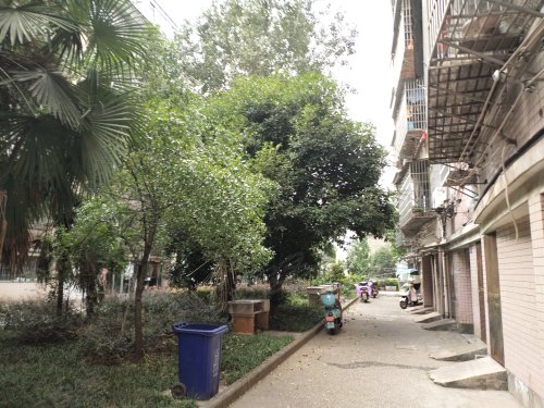 丹桂花苑,南门路 - 江山丹桂花苑二手房,租房,房价-江山安居客