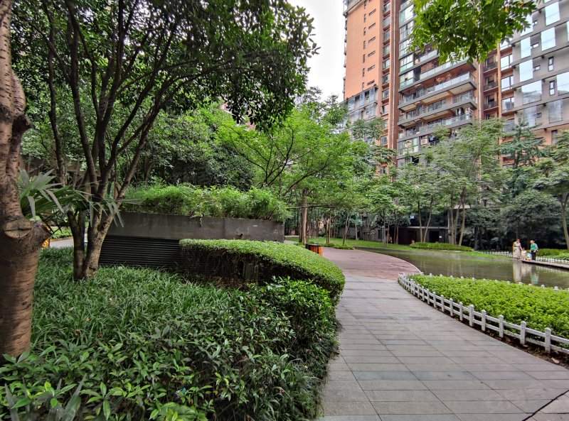 龙湖春森彼岸(1期)