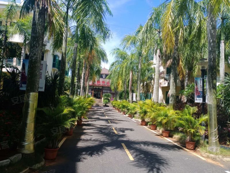 椰风海韵花苑,振洋路16号-重庆椰风海韵花苑二手房,租房,房价-重庆