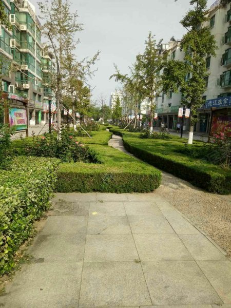 半岛蓝湾,北京路,近山东路 -青岛半岛蓝湾二手房,租房,房价-青岛安居