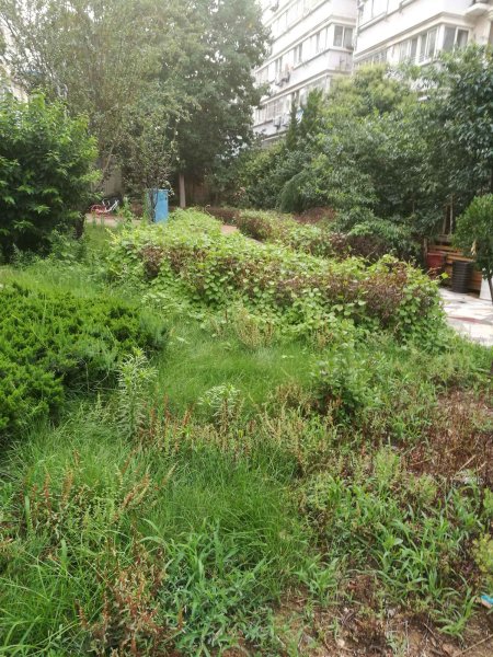 清水湾花园,南丰路25号-青岛清水湾花园二手房,租房,房价-青岛安居客