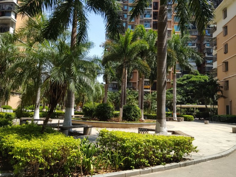 嘉盛花园(湖里),江头东里1-11号-厦门嘉盛花园(湖里)二手房,租房,房价