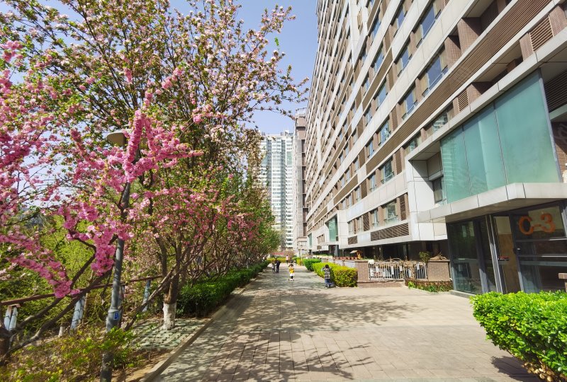 金地名京,力源里北街2号-北京金地名京二手房,租房,房价-北京安居客