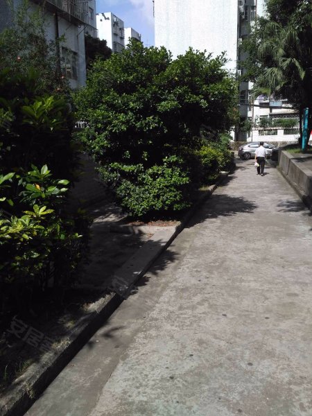 南威中心花园,湖东路58号-深圳南威中心花园二手房,租房,房价-深圳