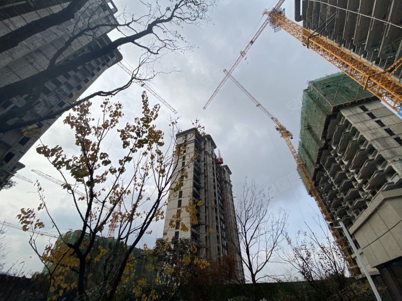 鑫都紫宸府,凤岐路,近跃大道-济南鑫都紫宸府二手房,租房,房价-济南