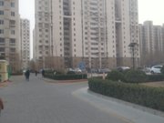 中央别墅区  枫泉花园  2