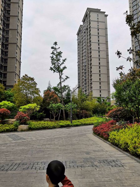 湖西景苑(a区),建华西路,近衡山路-枣庄湖西景苑(a区)二手房,租房