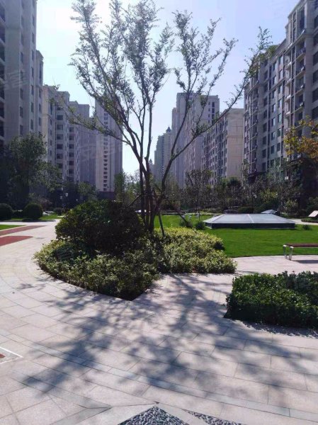 泰和上筑,潍县中路-潍坊泰和上筑二手房,租房,房价-潍坊安居客