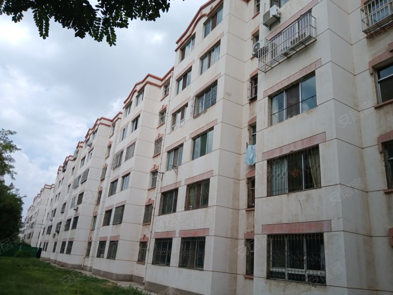 紫园小区(南区)