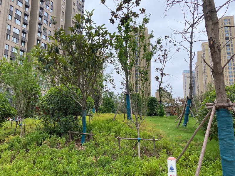 叶景华庭,玉湖路28号-徐州叶景华庭二手房,租房,房价-徐州安居客