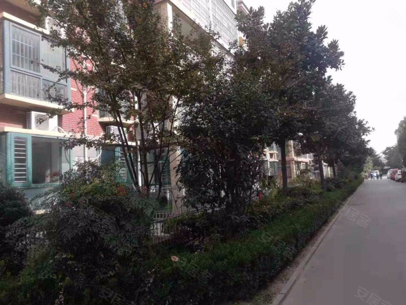 法姬娜欧洲城(鹿邑)