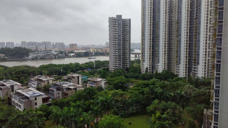 中粮万科金域蓝湾,金沙洲路-广州中粮万科金域蓝湾二手房,租房,房价