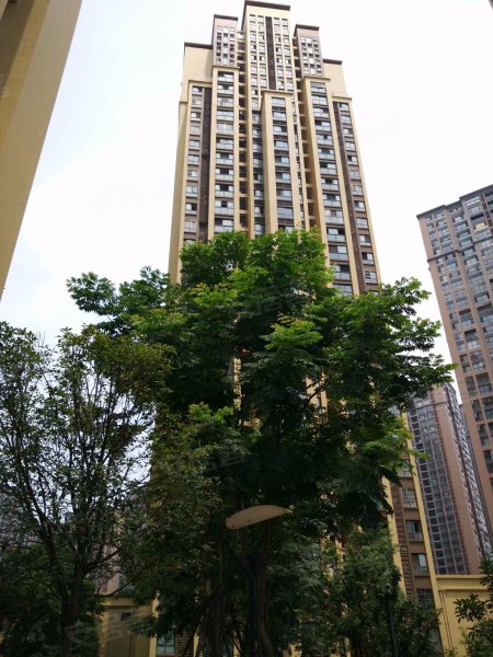 海棠佳苑,红豆树街77号-成都海棠佳苑二手房,租房,房价-成都安居客