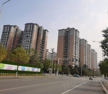 树高卡地亚B区