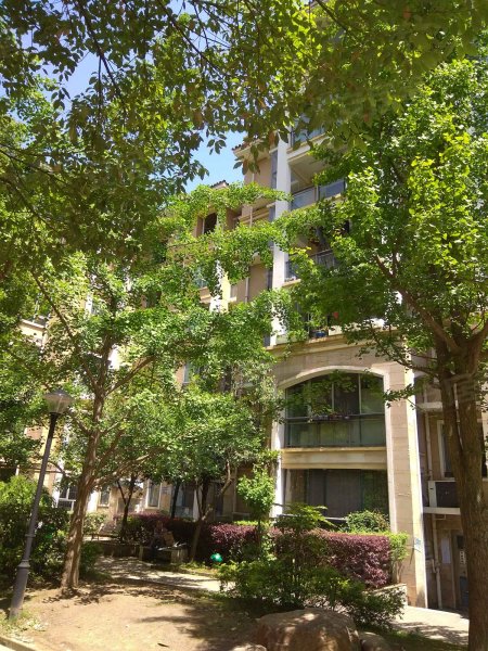 大兴星城檀香山