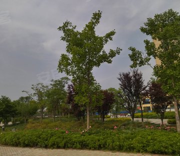 板桥街79号小区