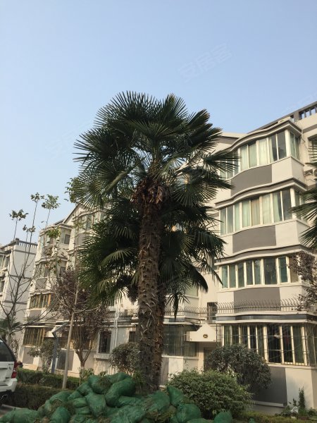 雅荷城市花园,凤城八路-西安雅荷城市花园二手房,租房,房价-西安安居