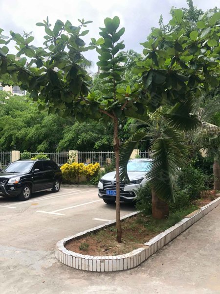 汇宇花园,丘海大道56-1号-海口汇宇花园二手房,租房,房价-海口安居客