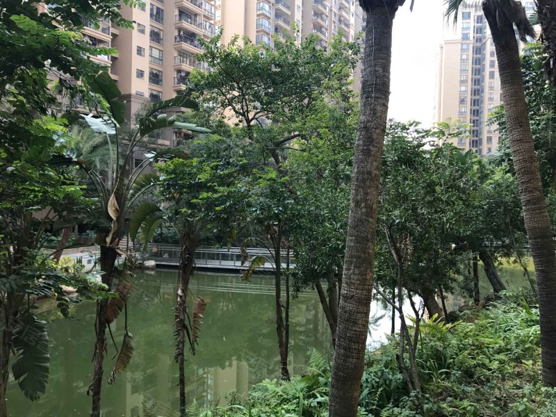 丽景名筑(一期),丽景路-中山丽景名筑(一期)二手房,租房,房价-中山