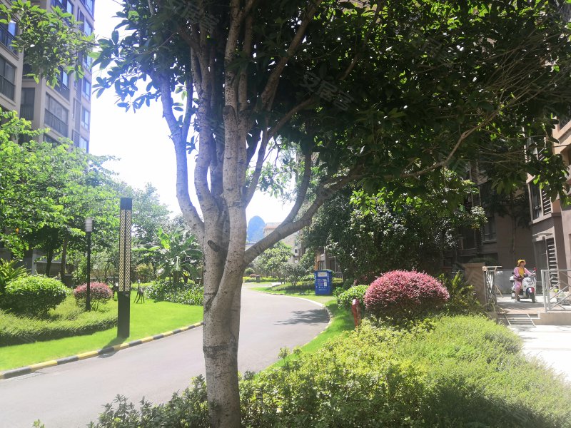 彰泰花千树,圣隆路16号-桂林彰泰花千树二手房,租房,房价-桂林安居客