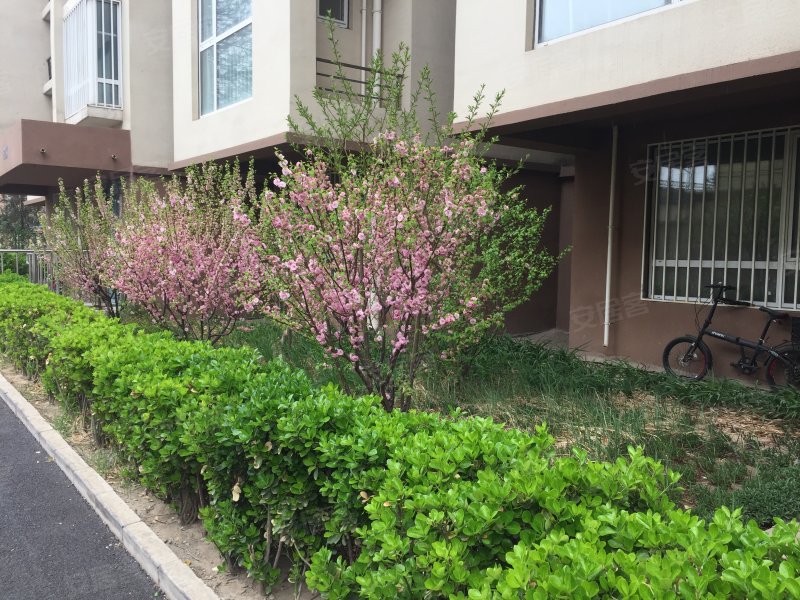 京铁新苑,双桥街-北京京铁新苑二手房,租房,房价-北京安居客