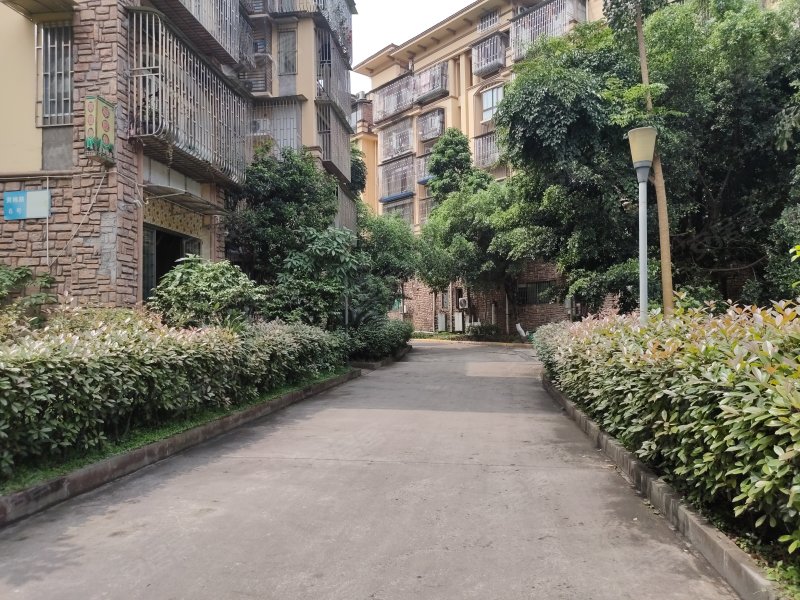 天远红树湾,黄桷路6号-泸州天远红树湾二手房,租房,房价-泸州安居客