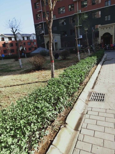 同安花园,同安街429号 - 武安同安花园二手房,租房,房价-武安安居客