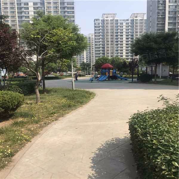 杏林家园(滨城),黄河六路-滨州杏林家园(滨城)二手房,租房,房价-滨州