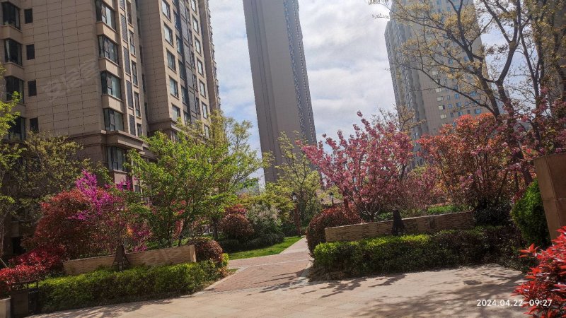 九龙城 华发九龙湾 龙悦湾一期  三室两厅两卫全明户型