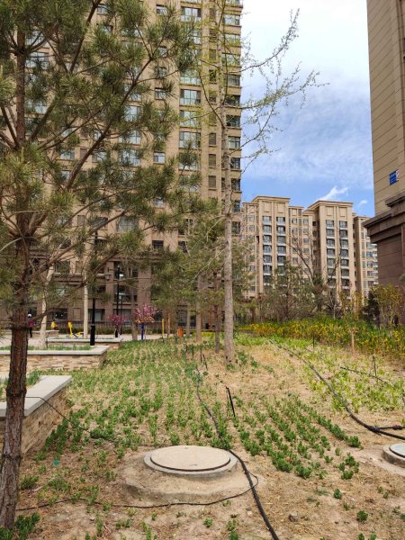 绿地凤凰城,惠北巷10号-银川绿地凤凰城二手房,租房,房价-银川安居客