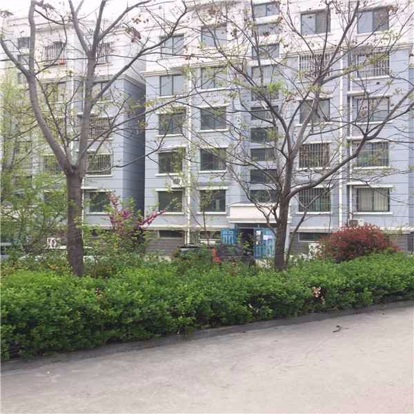 玫瑰庄园,佛光路-泰安玫瑰庄园二手房,租房,房价-泰安安居客