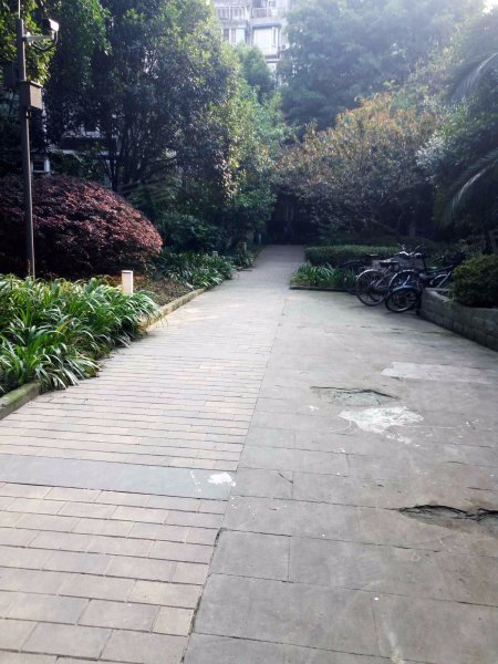 新沙河阳光水岸,牛沙路4号-成都新沙河阳光水岸二手房,租房,房价-成都