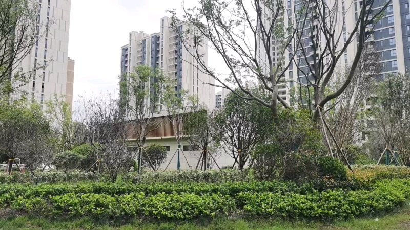 财信铂悦府,学林路,近金辉路-连云港财信铂悦府二手房,租房,房价